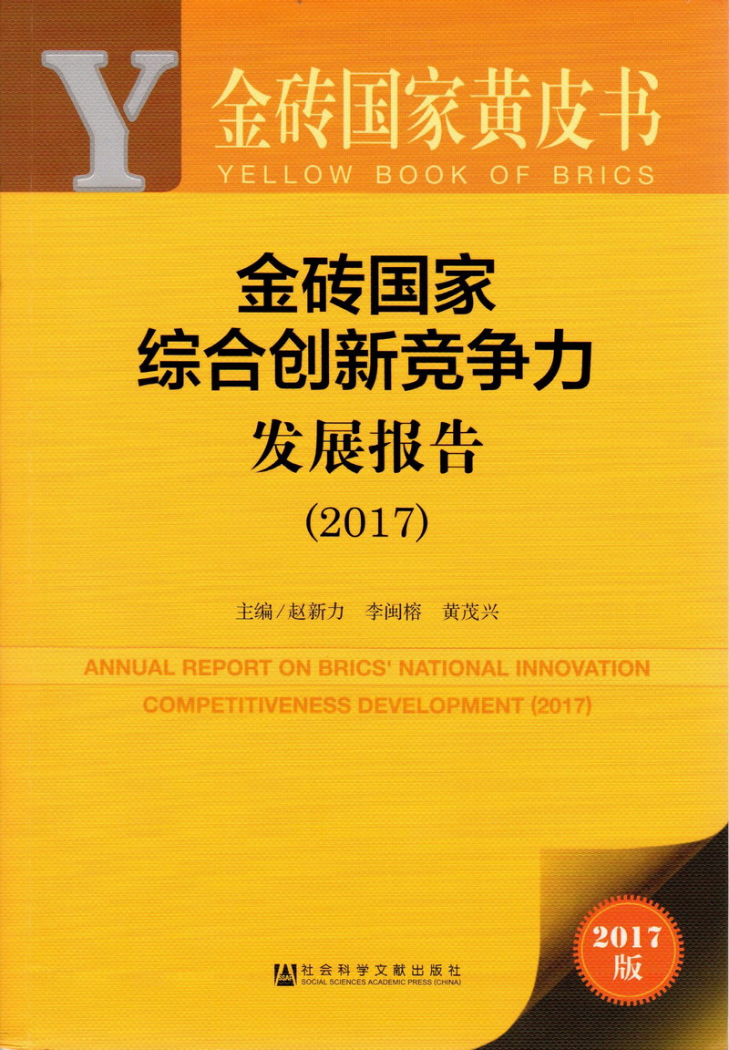 操死我肏穴骚逼视频金砖国家综合创新竞争力发展报告（2017）